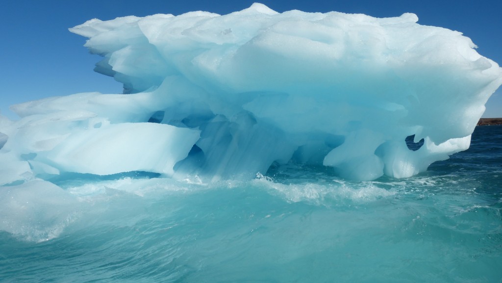 流动冰川中掉下来的冰块在海浪中飘荡（刘丽摄）