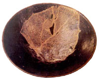 Black glaze bowl with tree leaf design