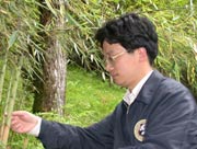 Vice Director Wang Pengyan examining the bamboo shoots in the open field for giant pandas
