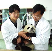 Director Assistants of the Research Center Li Desheng and Wei Rongping