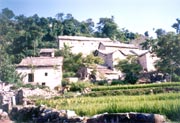 A Buyi stockaded village on the hill