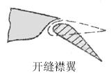 后缘襟翼(图3)