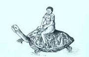 科隆群岛上的巨龟
